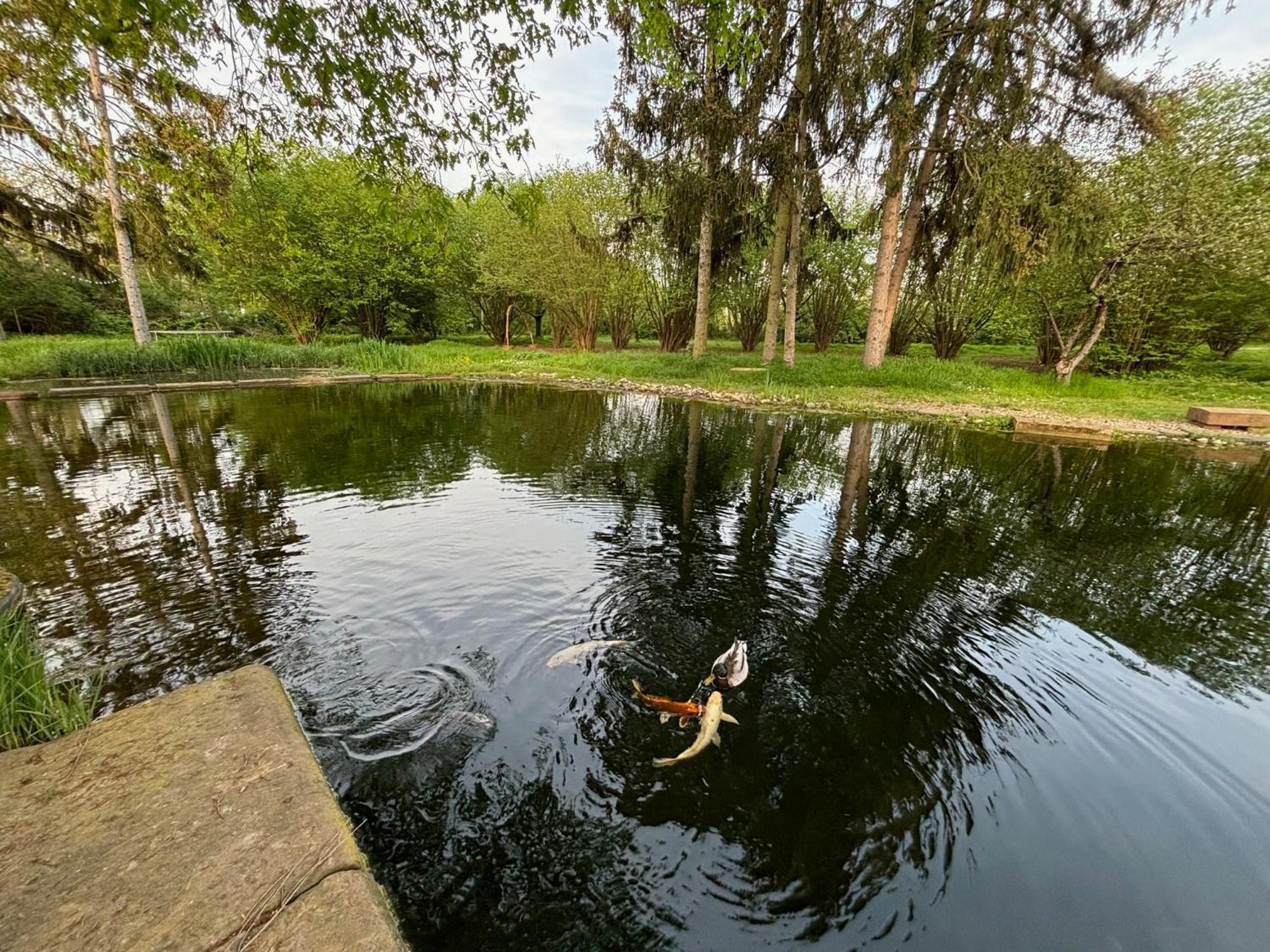 Datscha Am See Worms Exterior foto